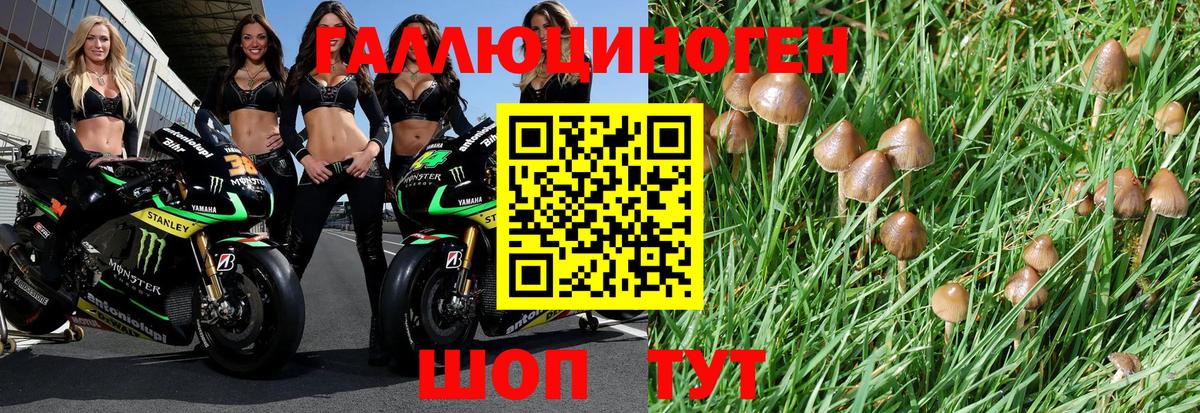 Псилоцибиновые грибы мицелий Фролово