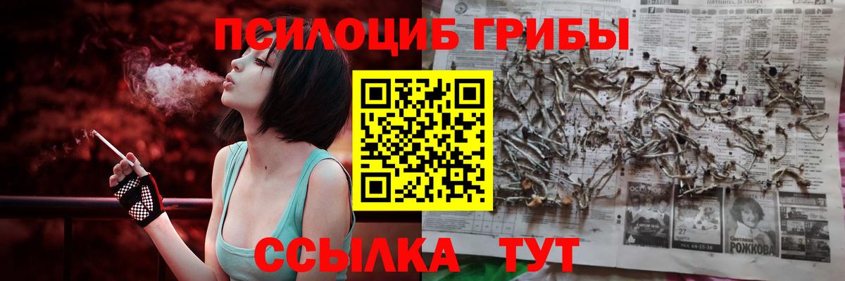 Фролово  Псилоцибиновые грибы мицелий  хочу наркоту  Вход с VPN 