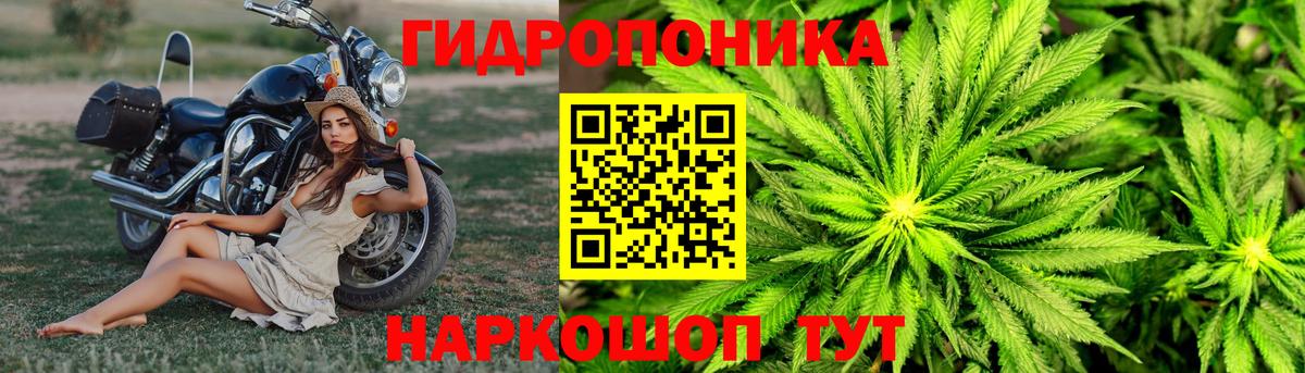Бошки марихуана MAZAR  Шишки марихуана THC 21%  Марихуана LSD WEED  Фролово  Вход с VPN  Канабис OG Kush 